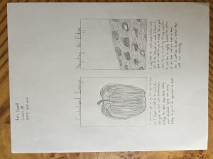 Carroll_Eric_Lesson1E_ARTI_1605_sec0_2